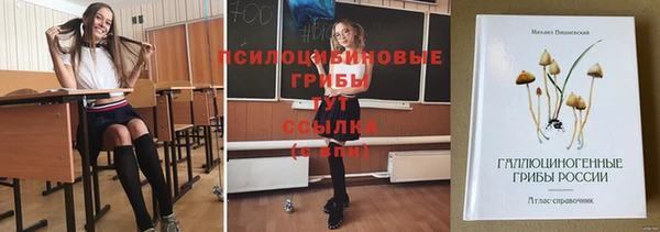 амфетамин Богородск