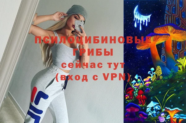 не бодяженный Богородицк
