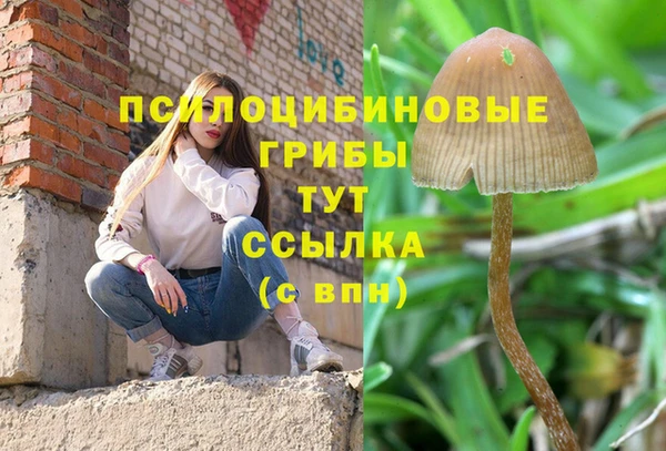 амфетамин Богородск